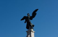 DSC_7662