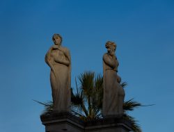 DSC_7956