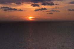 DSC_8370