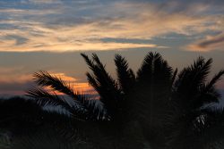 DSC_8382