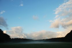 DSC_8706