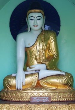 ML006