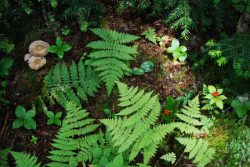 rsz_003